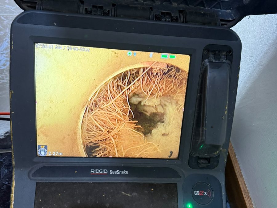 CCTV drain camera footage showing tree roots growing through a cracked sewer pipe in Melbourne