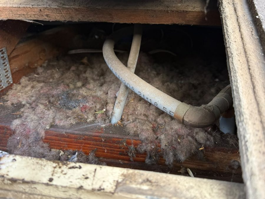 Subfloor pipework inspection under a Melbourne home